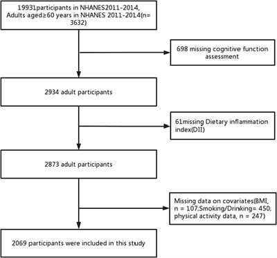 The association between dietary inflammatory index and cognitive function in adults with/without chronic kidney disease
